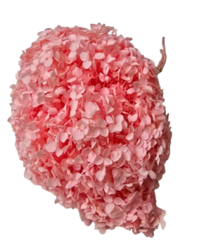 Preserved Hydrangea 25 - 30cm Light Pink-0