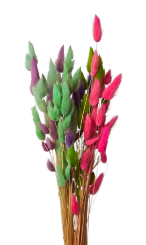 Lagarus Mixed Colours Cold App 50g-0