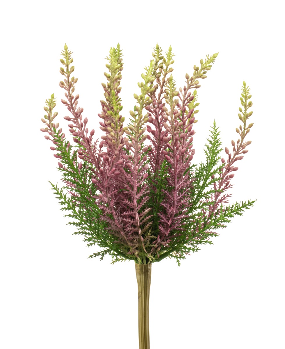 Erica Bush Purple 29cm UV Protected-0