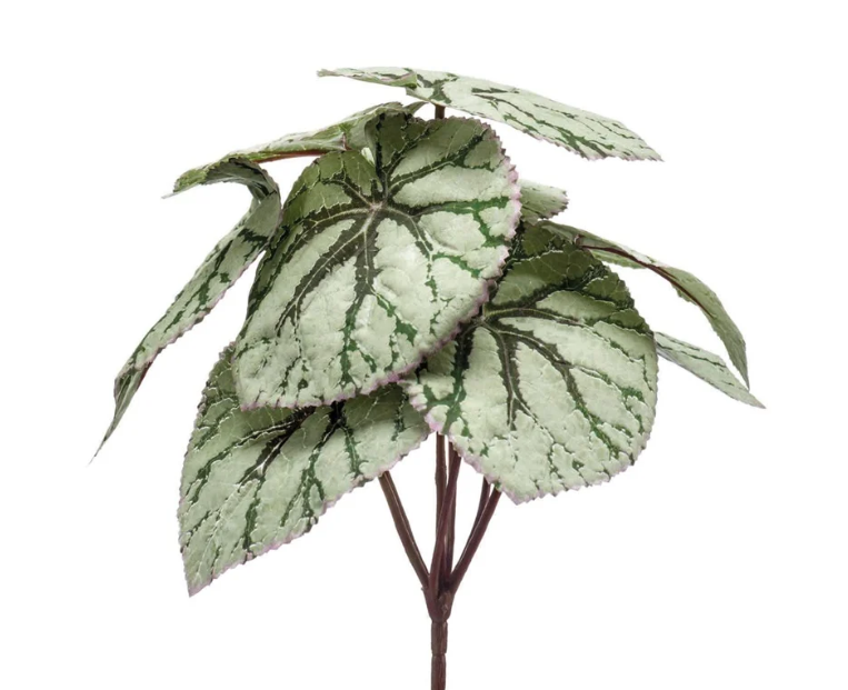 Begonia Leaves Bush Grey 25cm UV Protected-0