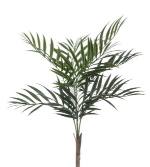 Chamaedorea Palm Bush 60cm UV Protected-0