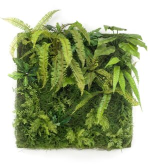Living Wall 100 x 100cm