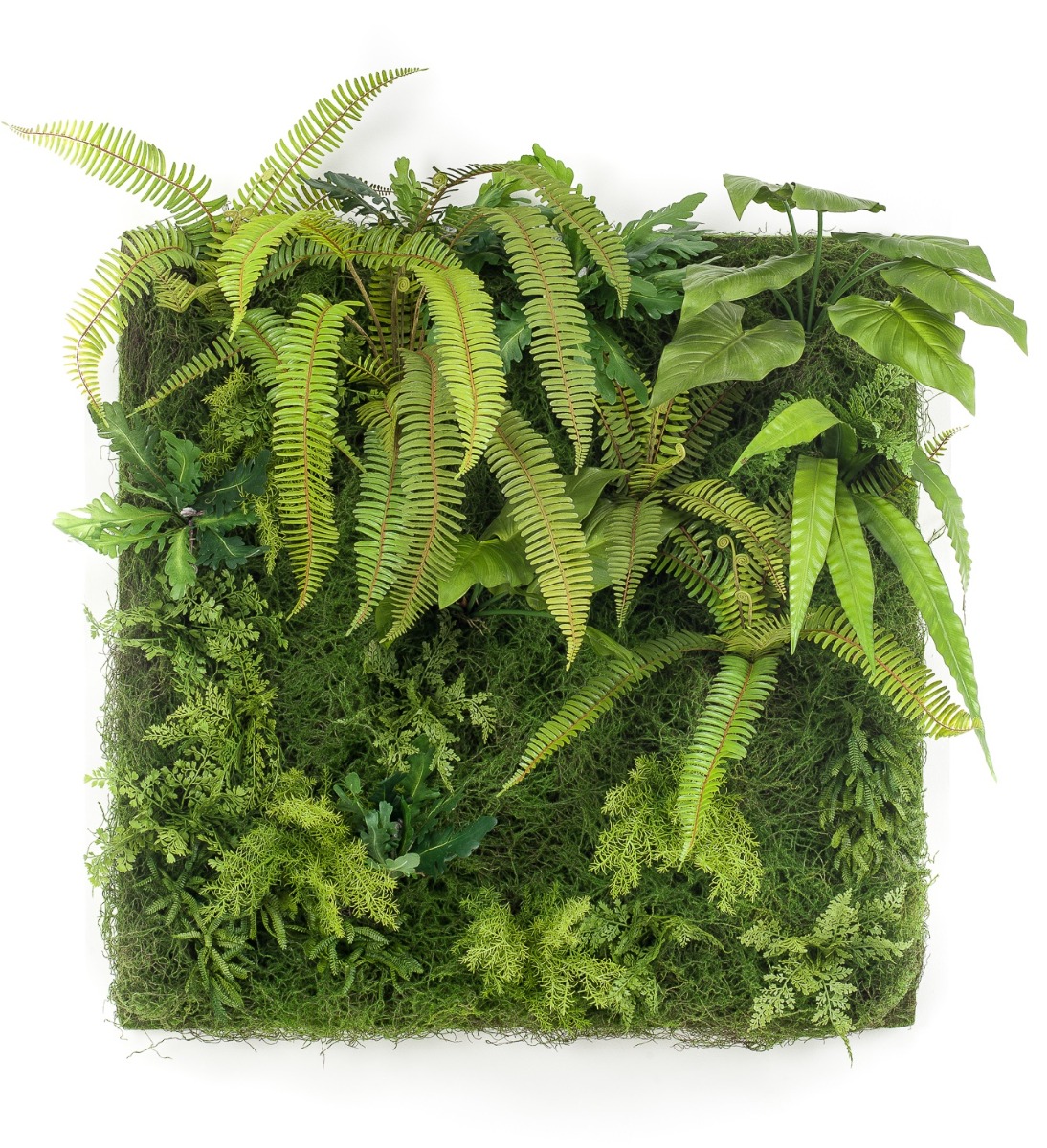 Living Wall 100 x 100cm
