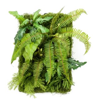 Living Wall 60 x 40cm-0