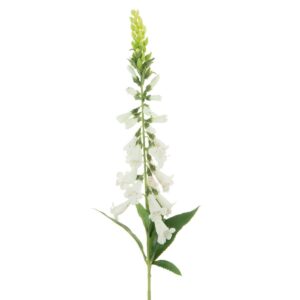 Foxglove Stem 97cm White-0