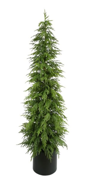 210cm Balsam Fir Tree in Planter-0