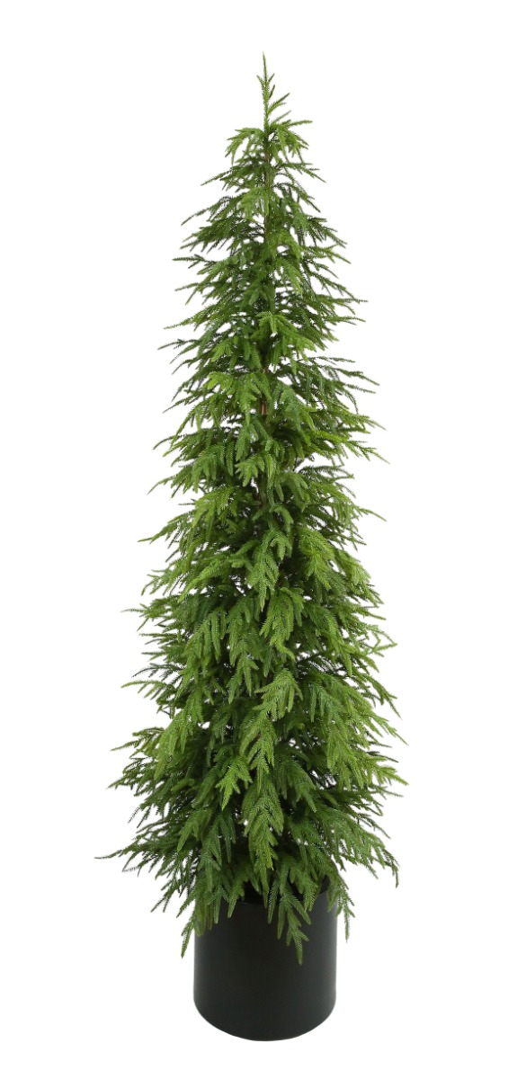 210cm Balsam Fir Tree in Planter-0
