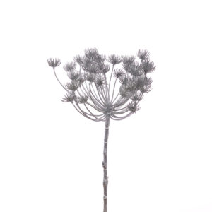 Metallic Dandelion Head Spray Silver-0