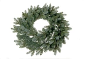 Blue Spruce Wreath - Green (280 tips, 60cm diameter)