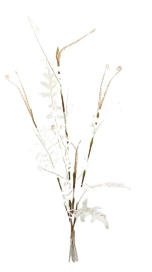 Artificial Dry Fern Bundle - White/Ivory 120cm-0
