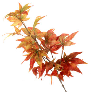 Japanese Maple Leaf Spray - Red/Orange (74cm long)-0