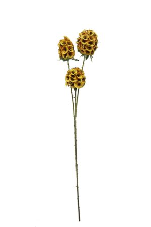 Artificial Scabiosa Stellata - Yellow (3 heads, 71cm long)-0