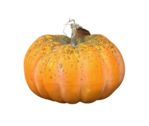 Artificial Pumpkin - Green/Orange (23cm diameter)-0