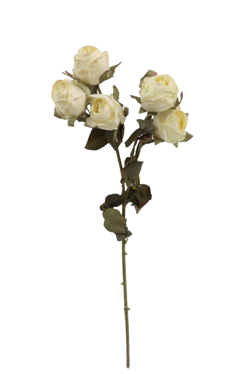Artificial Dry Rose Bush - Ivory (43cm long with 5 heads)-0