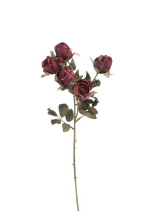 Artificial Dry Rose Bush - Red (43cm long with 5 heads)-0