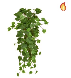 55cm Trailing Ivy Green FR-0