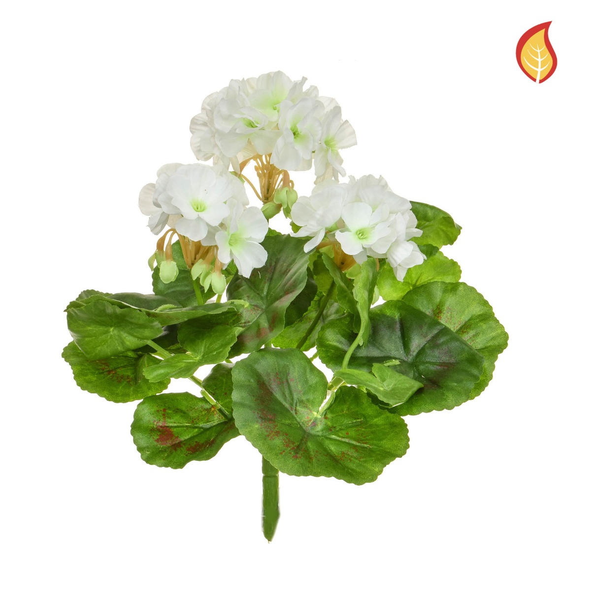 Plants Flowering Geranium White 23cm FR-0