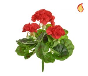 Plants Flowering Geranium Red 23cm FR-0