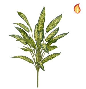 Plants Aglaonema 65cm FR-0