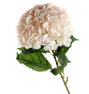 Large Hydrangea Blush Pink - 30cm Head-0