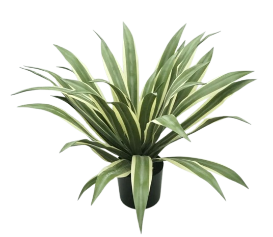 UV Artificial Agave Tree Green/White 70cm-0