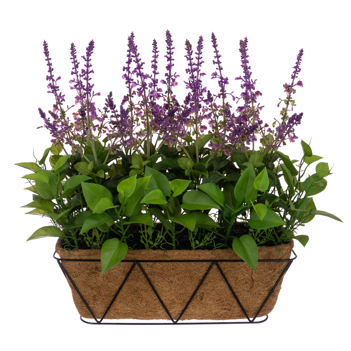 UV Lavender Window Box 52cm U-V Protected-0