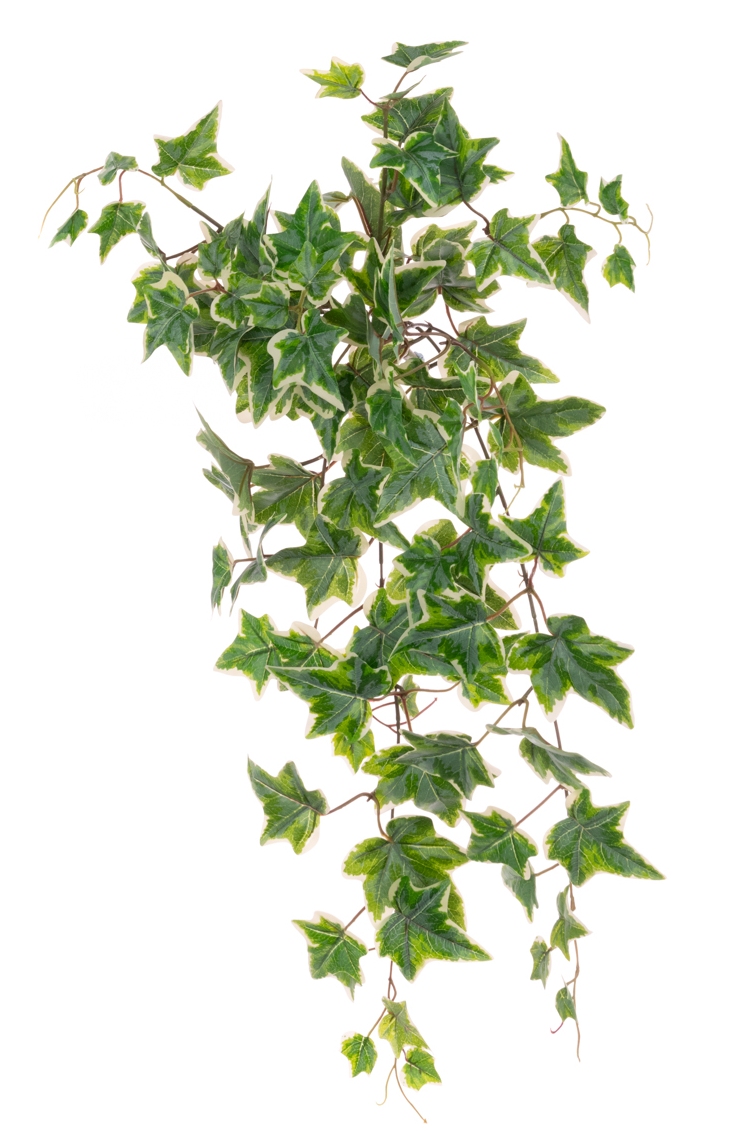 ECO Ivy Hanging Bush UV U-V Protected & Waterproof-0