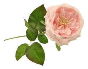 60cm Provence Rose Single Light Pink-0