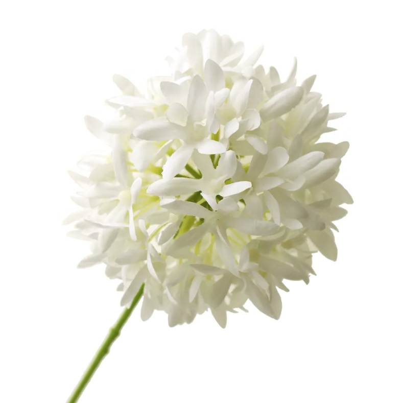 79cm Agapanthus White - Recycled-0