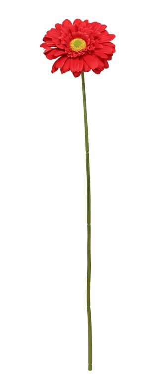 Single Gerbera 72cm Red-0
