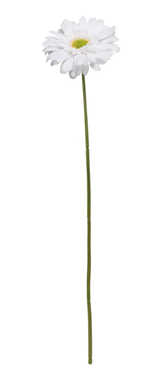 Single Gerbera 72cm White-0