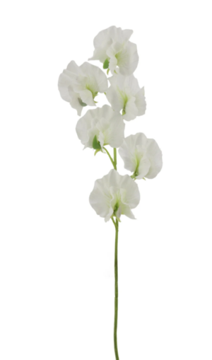 Sweet Pea Spray 42cm White-0