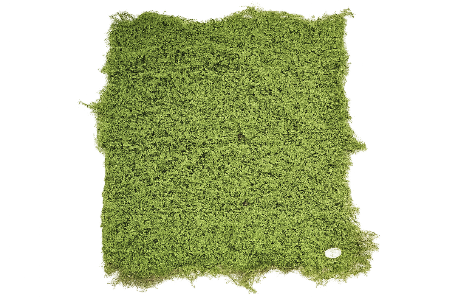 Artificial Moss Grass Tile Green 100 x 100cm-0