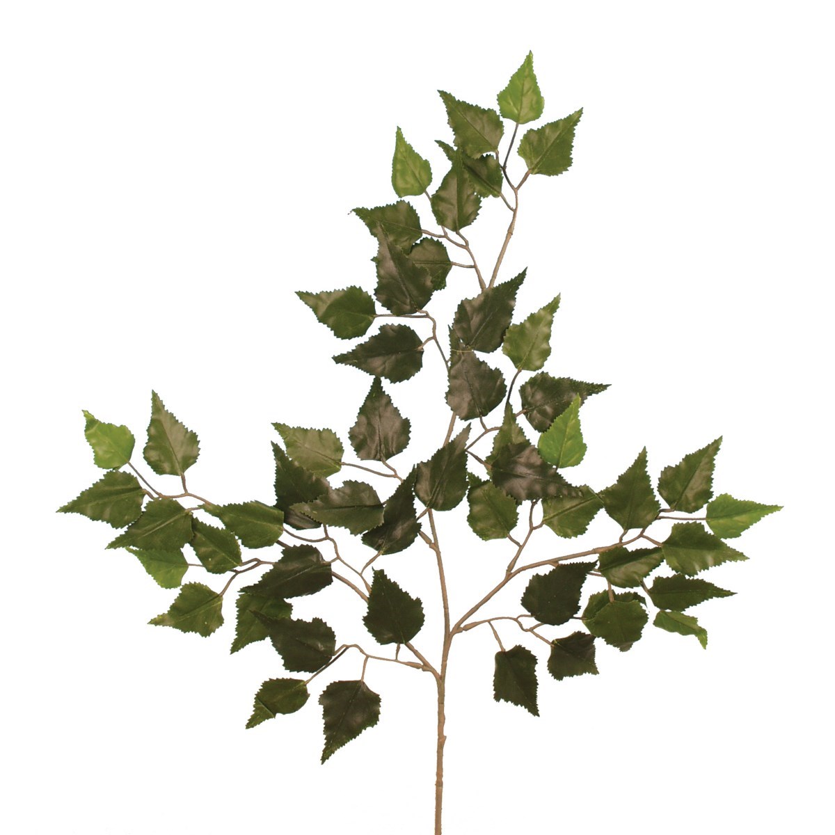 Birch Spray x 56 Leaves Green FR-0