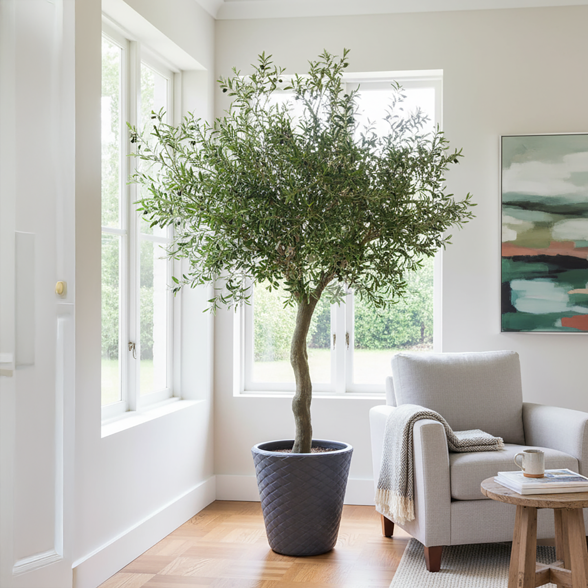 Olive Tree 230cm FR-0