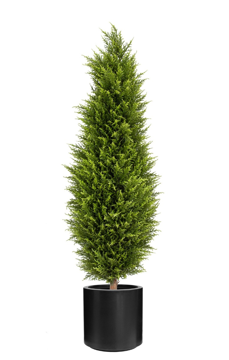 UV Cypress Tower 120cm In Stockholm Pot Black