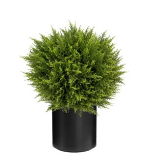 UV Cypress Ball 60cm In Stockholm Pot Black-0