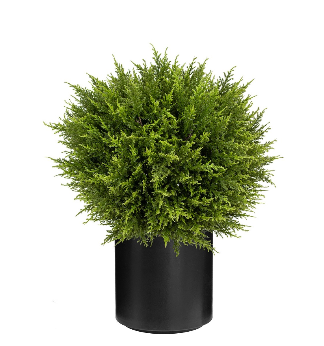 UV Cypress Ball 60cm In Stockholm Pot Black-0