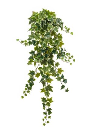 Artificial Ivy Hanging Bush Variegated 130cm-0