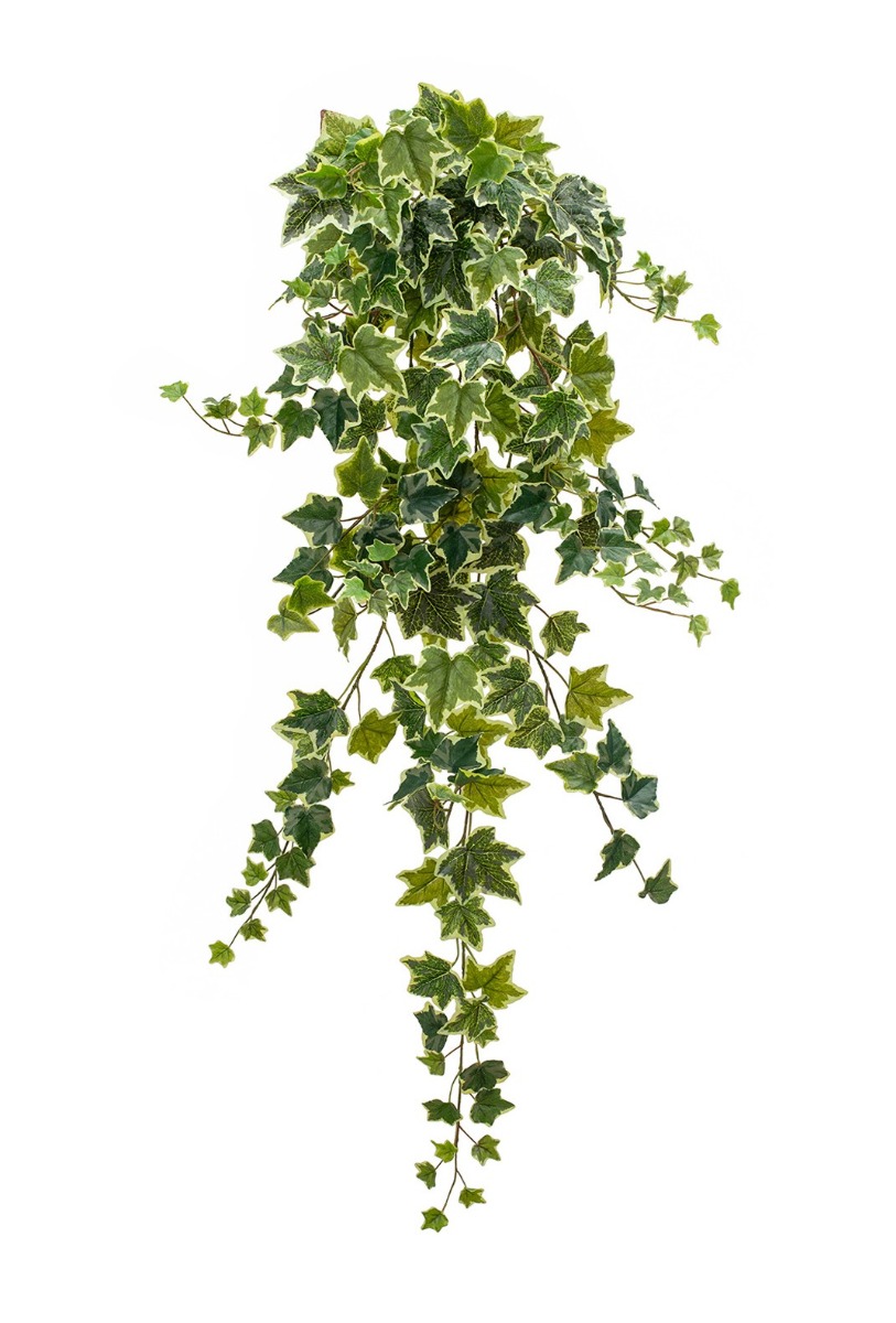 Artificial Ivy Hanging Bush Variegated 130cm-0